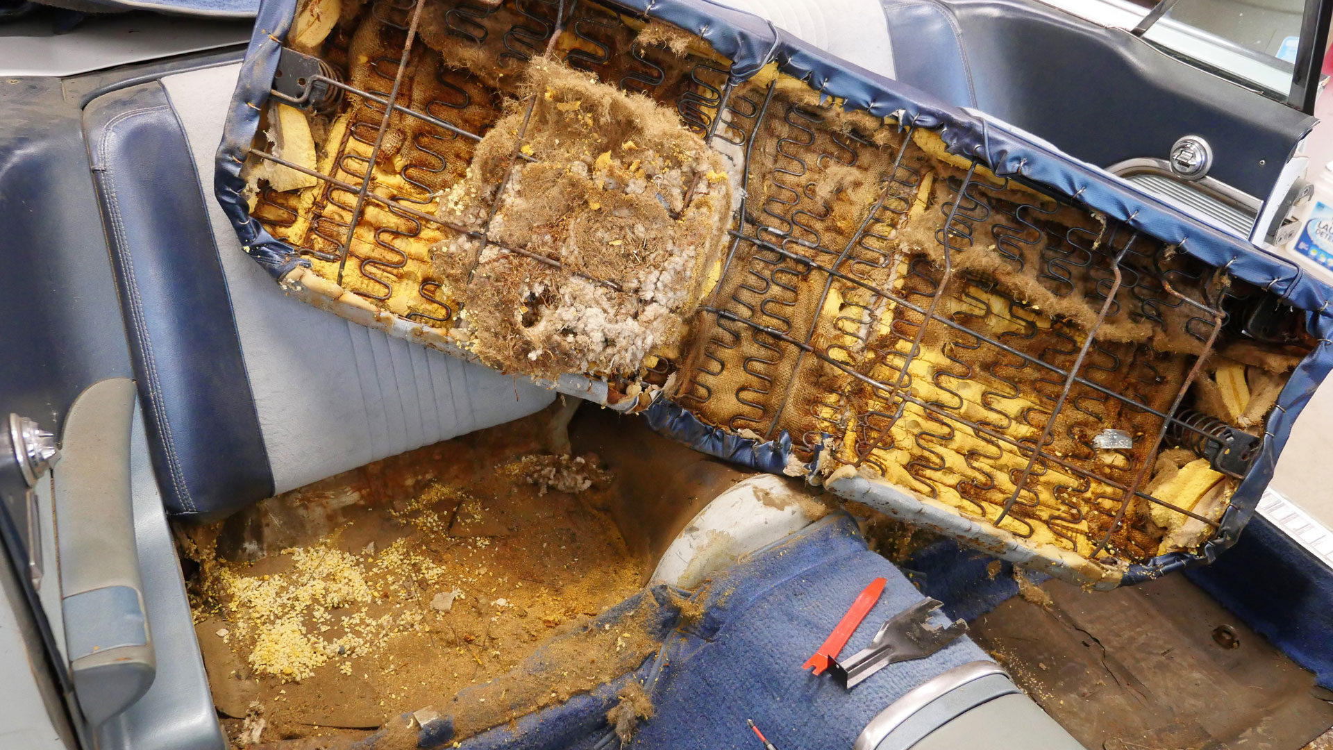 Rodent nest under the back seat